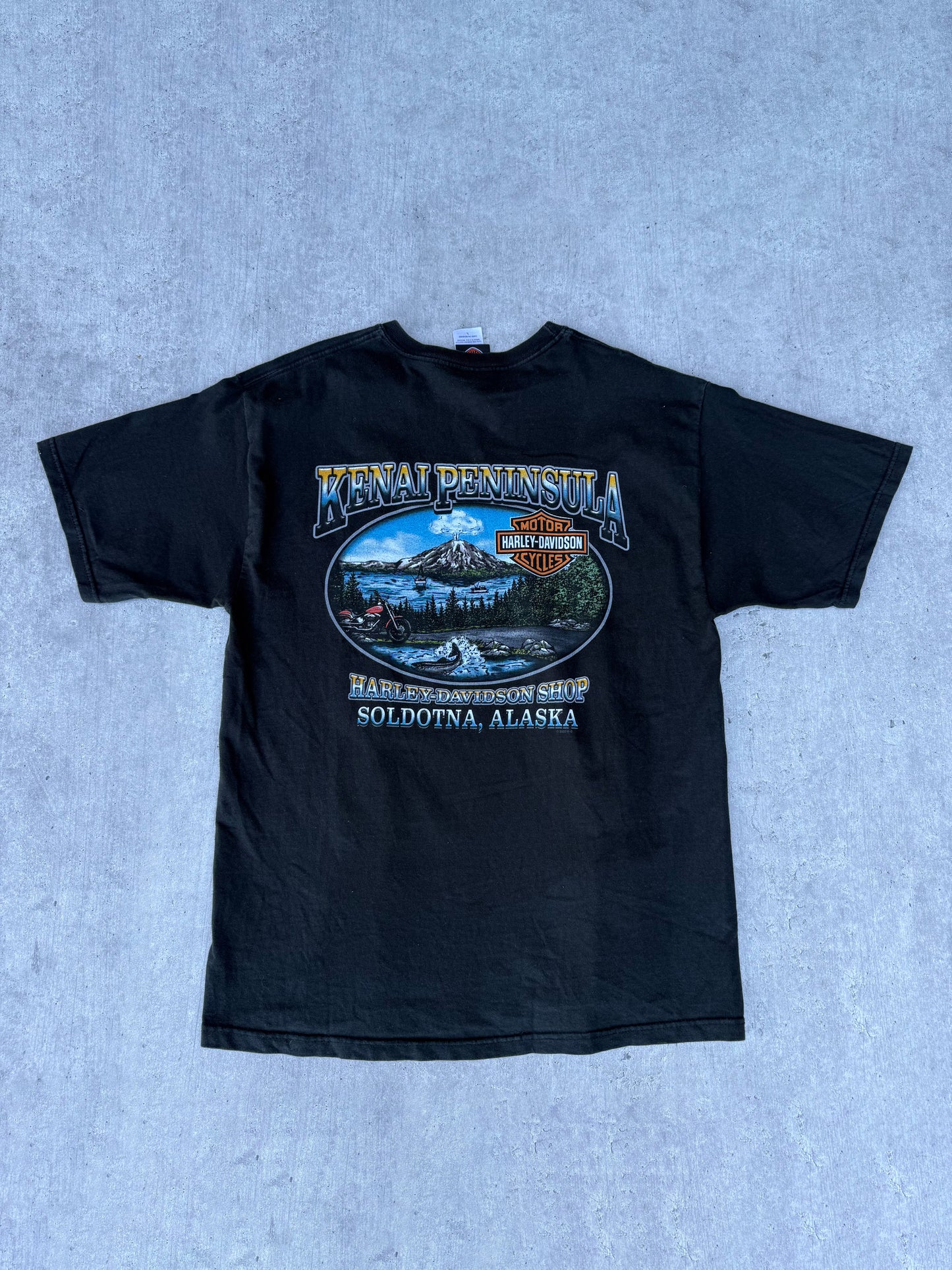 HARLEY DAVIDSON ALASKA TEE
