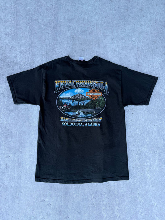 HARLEY DAVIDSON ALASKA TEE
