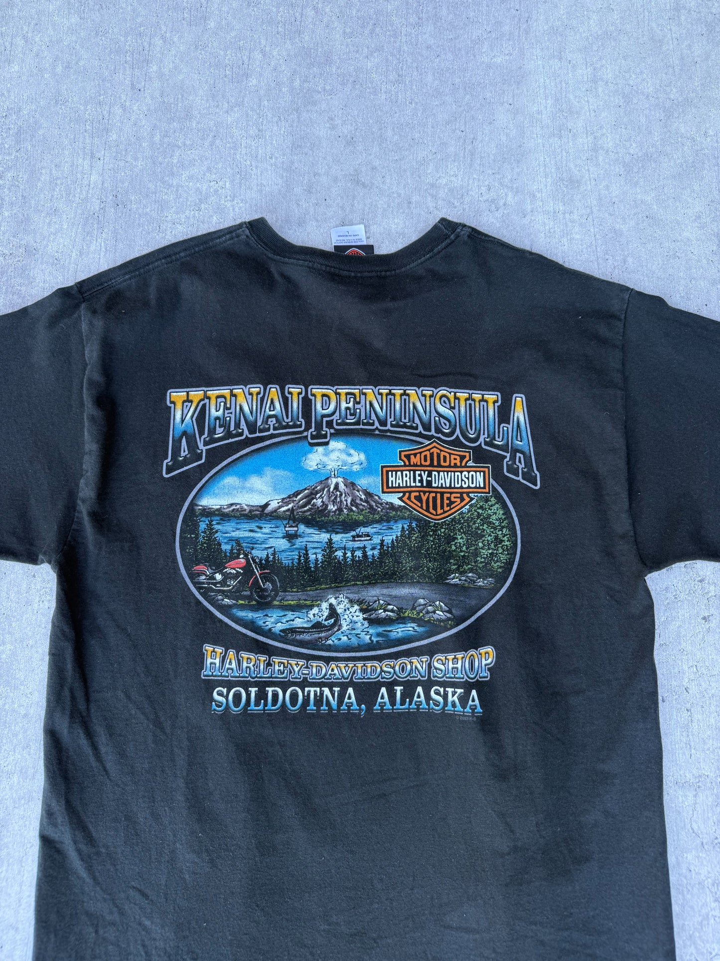 HARLEY DAVIDSON ALASKA TEE